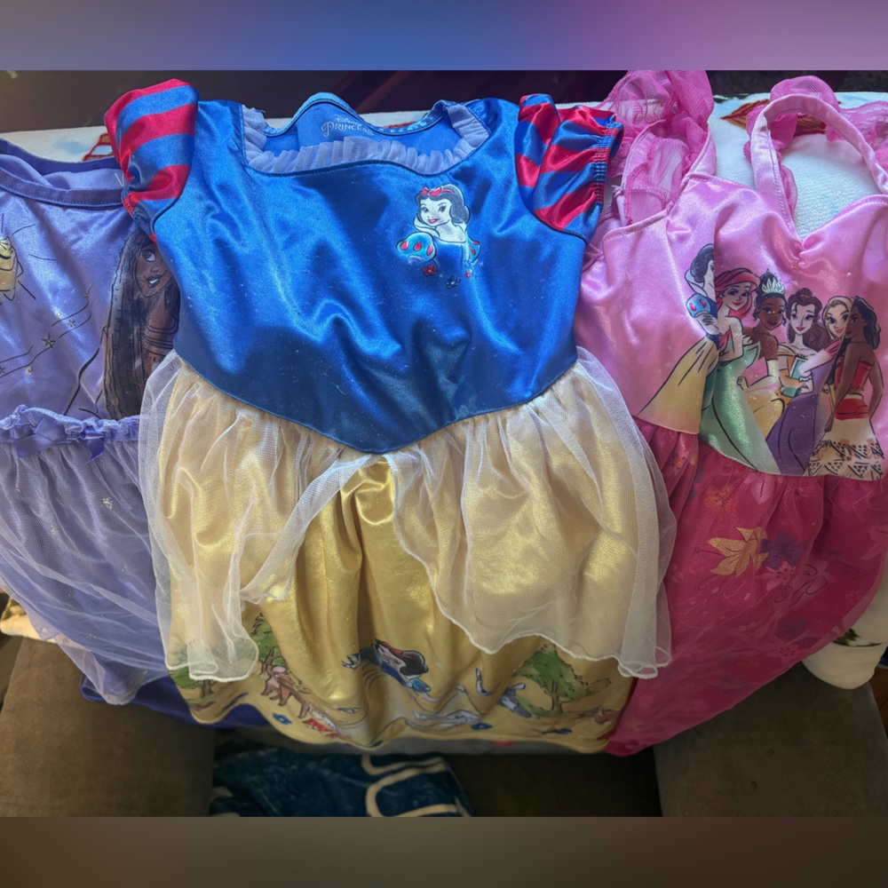 Princess 4T nightgowns